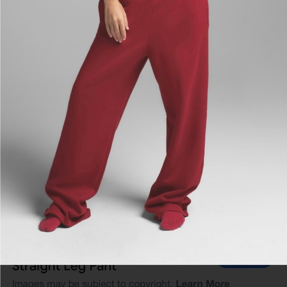 SKIMS Cotton Fleece Straight Leg Pant in Brick - Picture 2 of 4